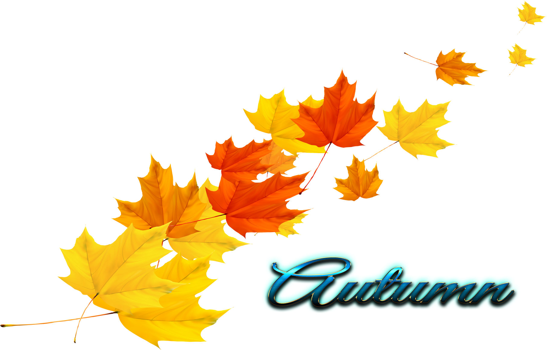 Transparent Autumn Leaves - Transparent Autumn Leaves Vector Clipart (1920x1200), Png Download