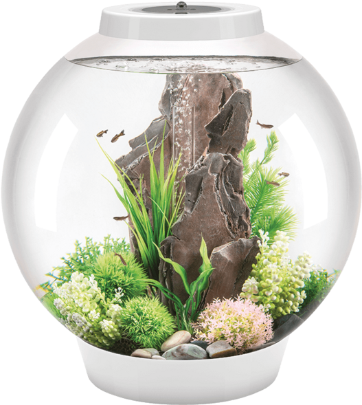 Combining The Classic Look Of A Fish Bowl With Modern - Biorb Classic 60 Clipart (600x750), Png Download