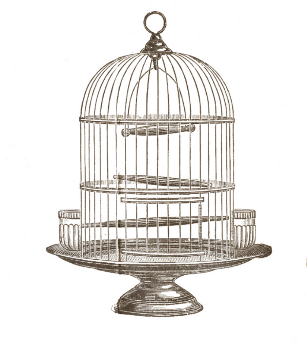 Vintage Birdcage Png Trifles Play Bird Cage Clipart Large Size Png