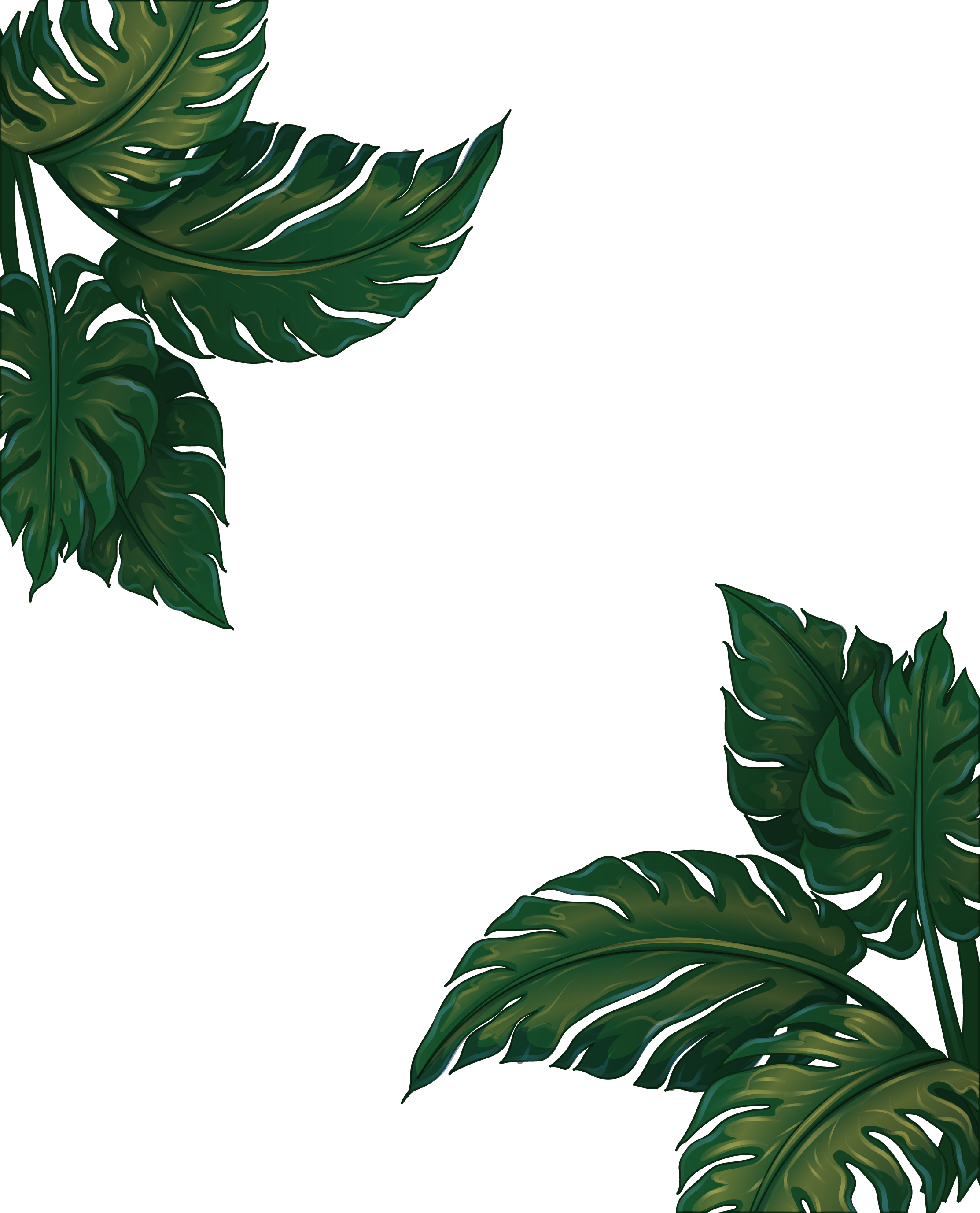 Leaf Musa Euclidean Vector Green Frame Basjoo Clipart - Banana Tree Leaves Png Transparent Png (2226x2754), Png Download
