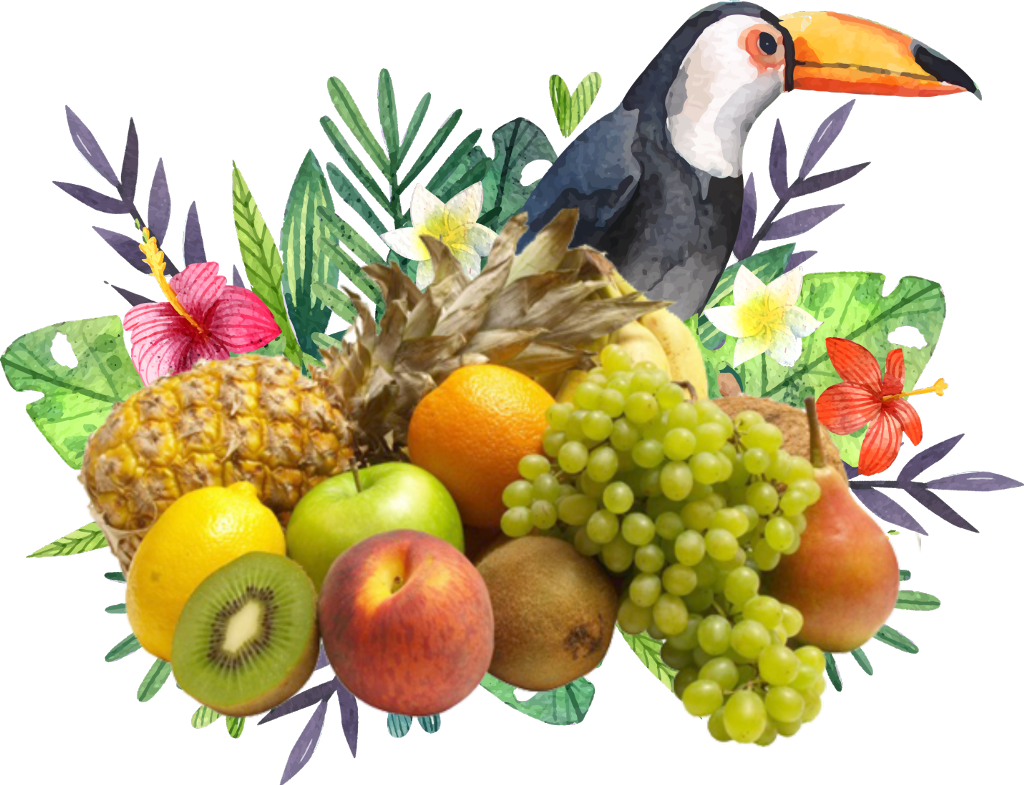 #tropicalstickers #freetoedit #frutas - Flower And Fauna Watercolor Clipart (1024x785), Png Download