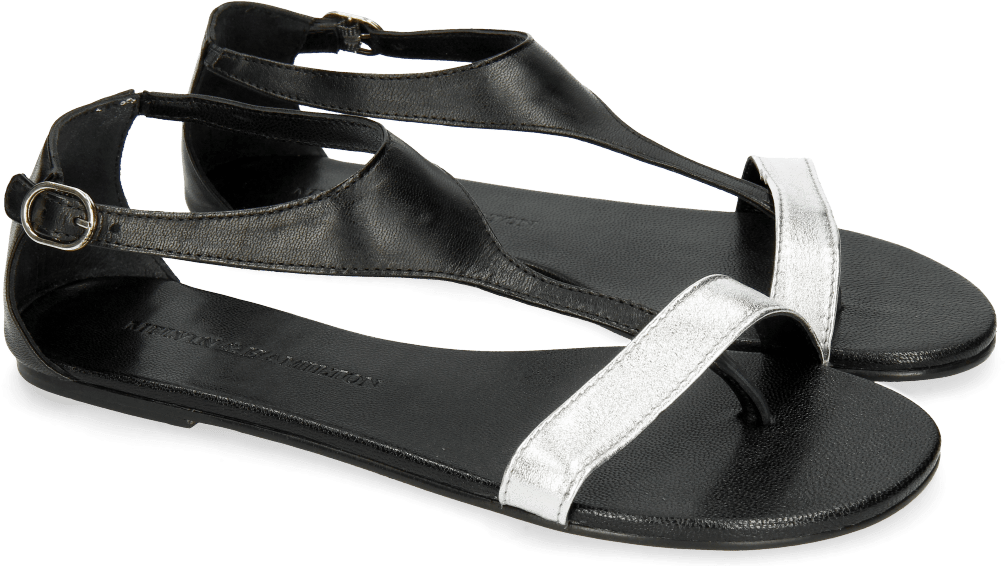Sandals Collete 4 Talca Silver Salerno Black - Fisherman Sandal Clipart (1024x1024), Png Download