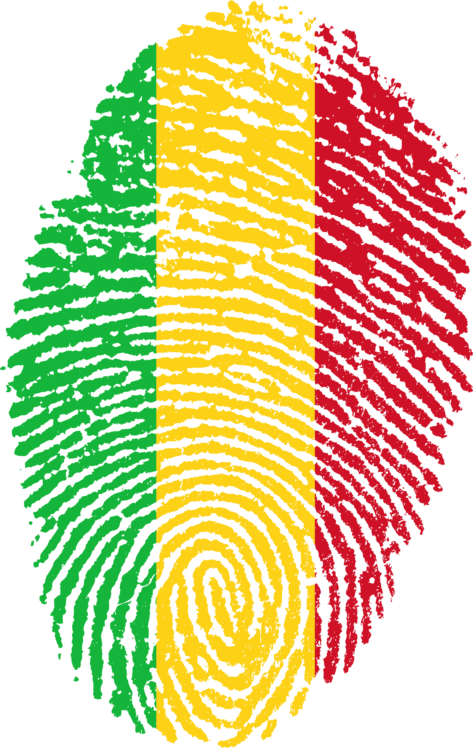 Mali Flag Fingerprint Country 654129 - Guinea Flag Fingerprint Clipart (1573x2488), Png Download