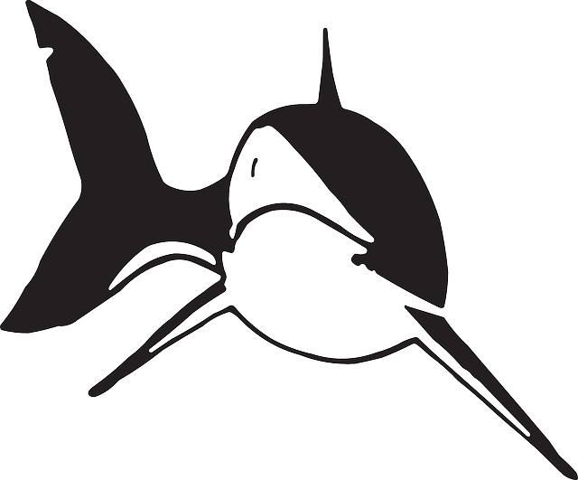 Shark Clipart (640x531), Png Download