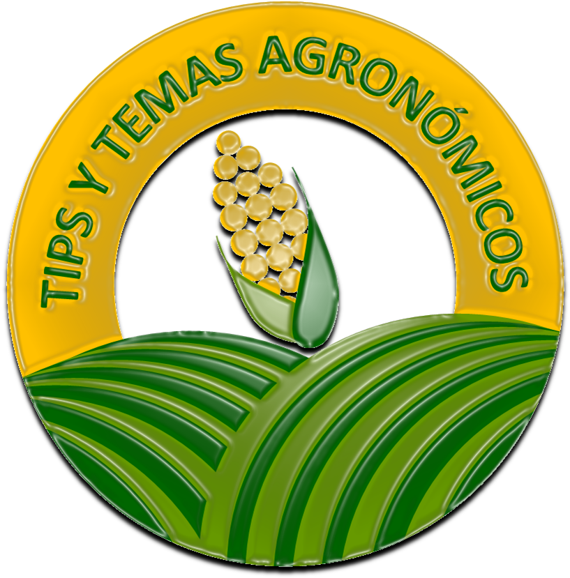 Peri&243dico El Campesino Clipart (848x847), Png Download