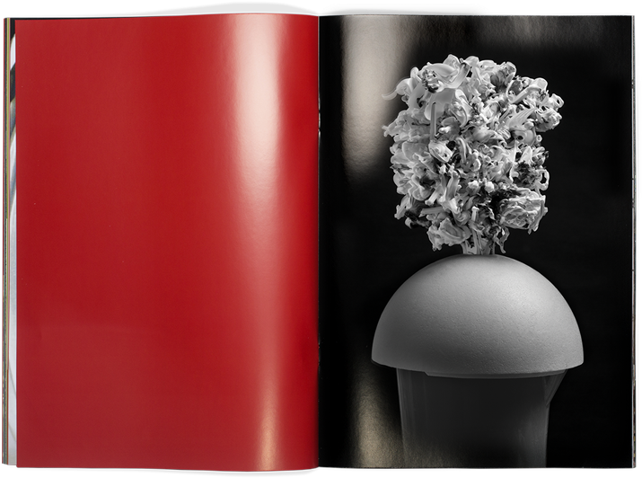 Vendula Knopova - Hydrangea Clipart (850x672), Png Download