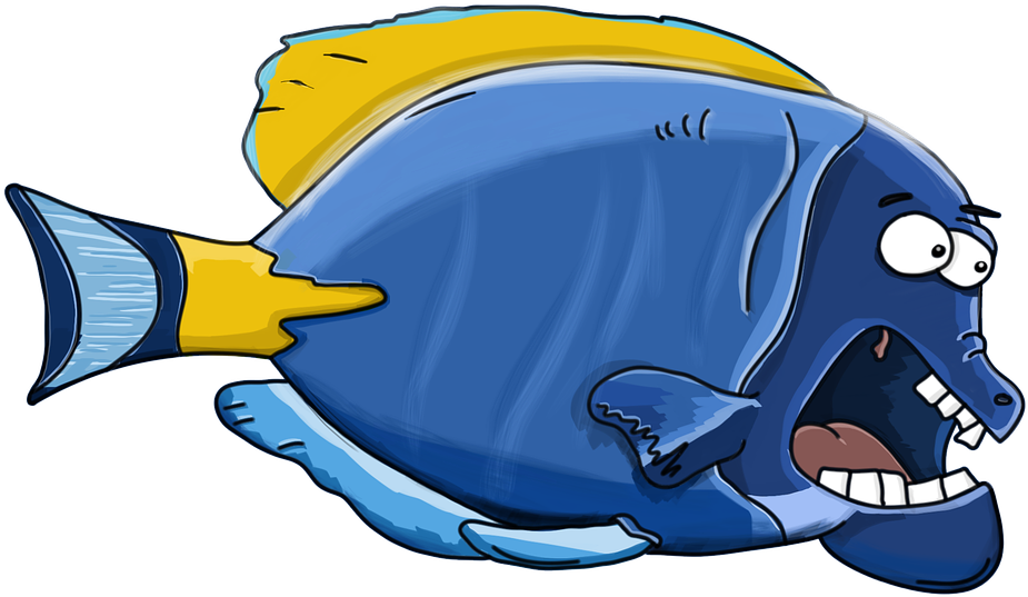 Picture Of Cartoon Fish - Cartoon Clipart (960x590), Png Download