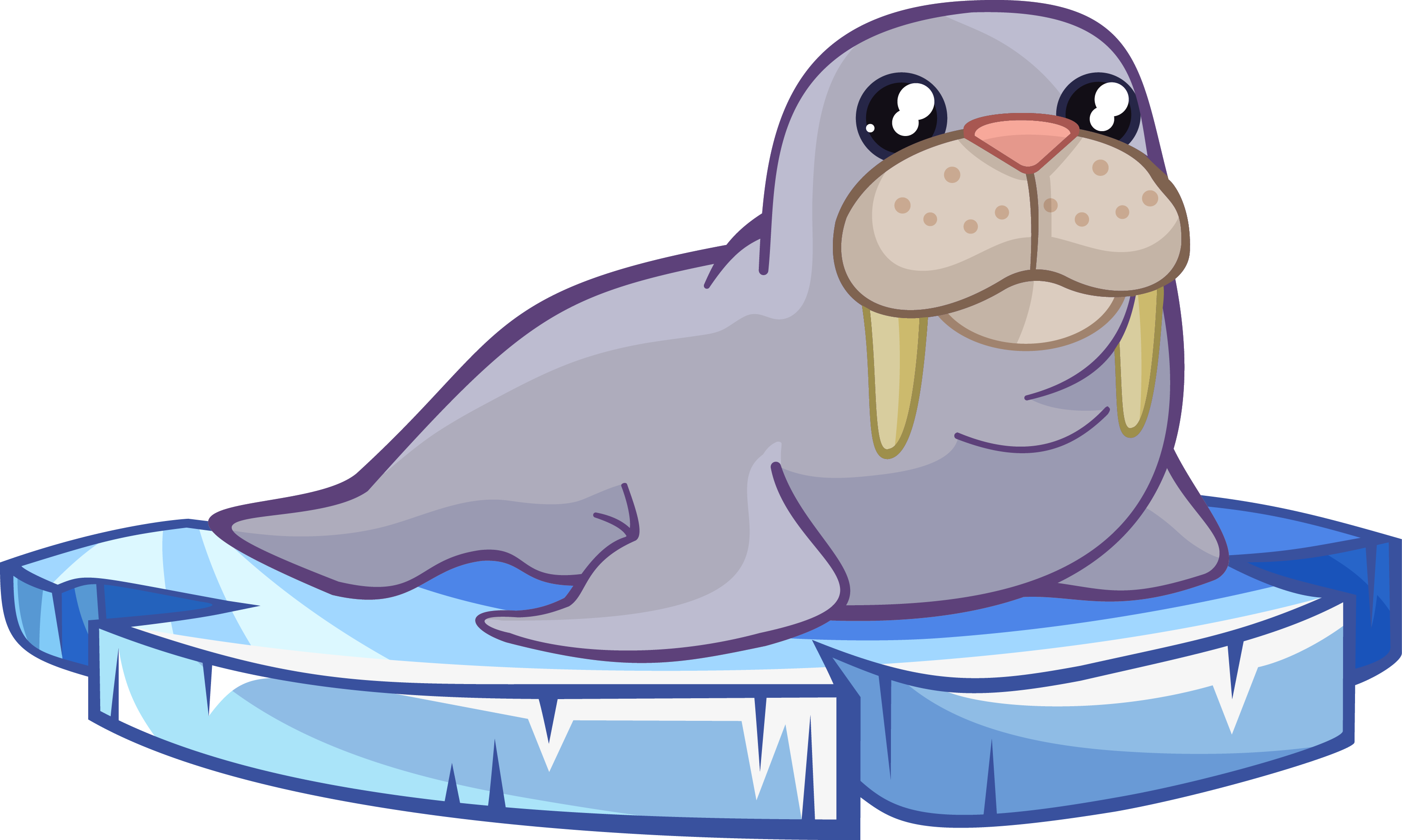 Png Image - Clipart Walrus Transparent Png (3163x1896), Png Download