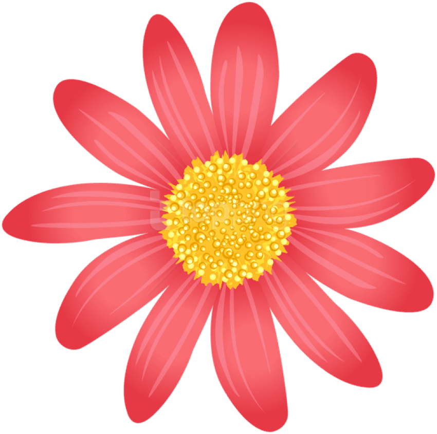 Free Png Download Decorative Flower Png Png Images - Marguerite Daisy Clipart (850x845), Png Download