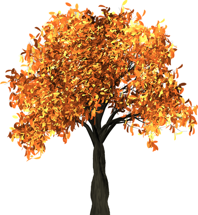 File Rec - Animated Autumn Tree Png Clipart (662x720), Png Download