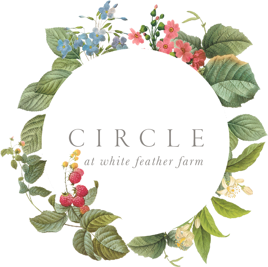 Circle Clipart (1000x1000), Png Download