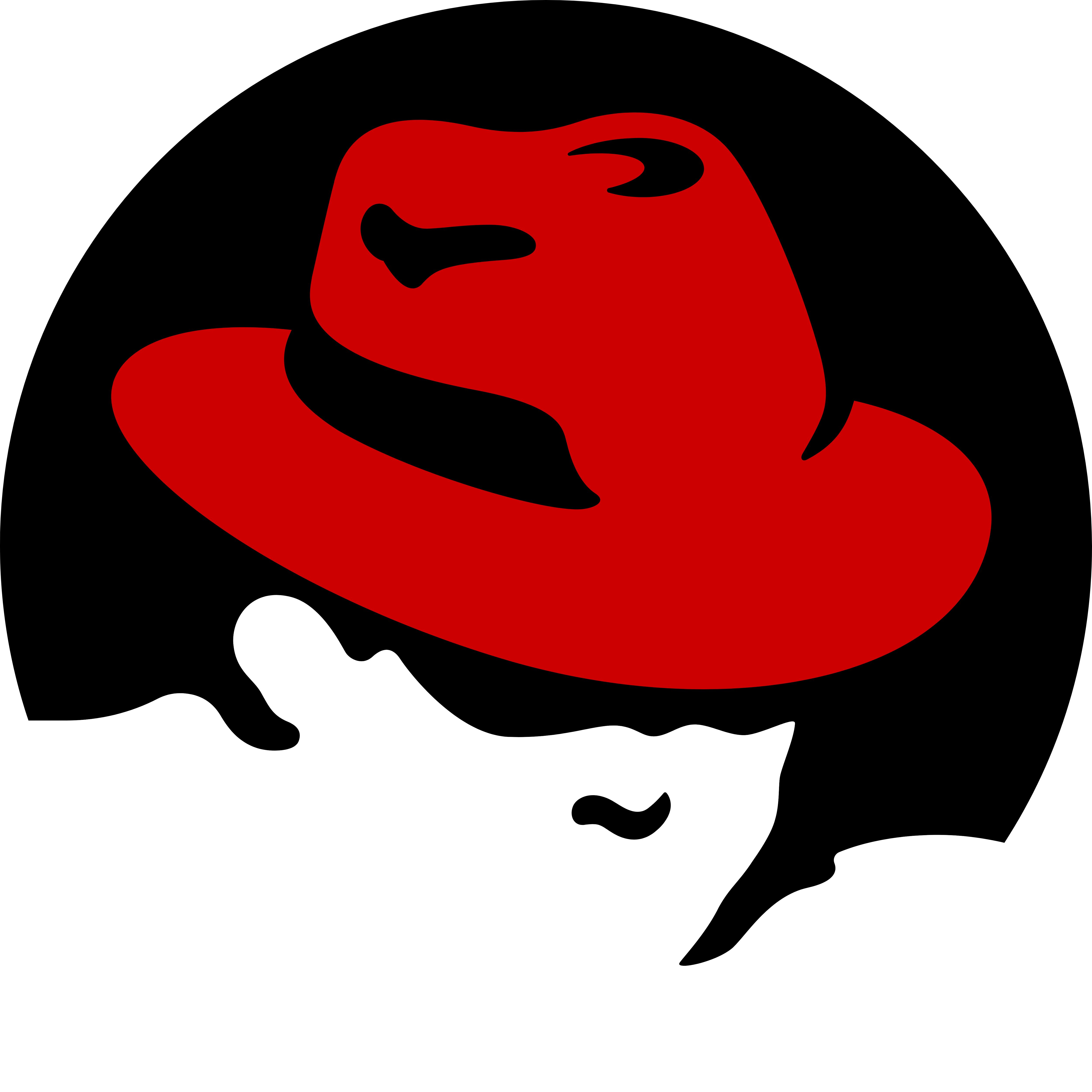 Red Hat Logo Png Transparent - Red Hat Linux Clipart (2400x2400), Png Download