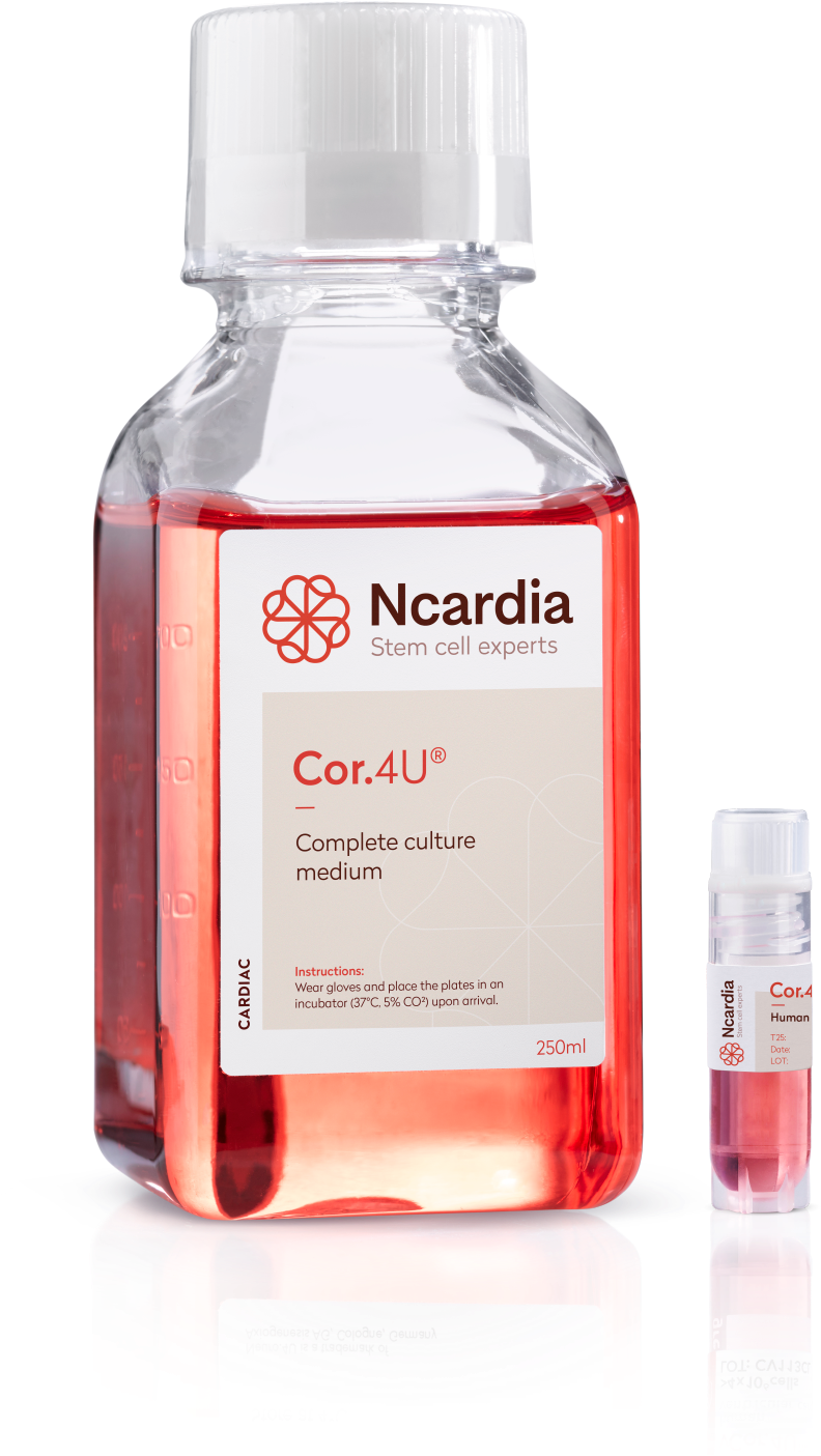 Advantages Of Cor - Plastic Bottle Clipart (791x1420), Png Download