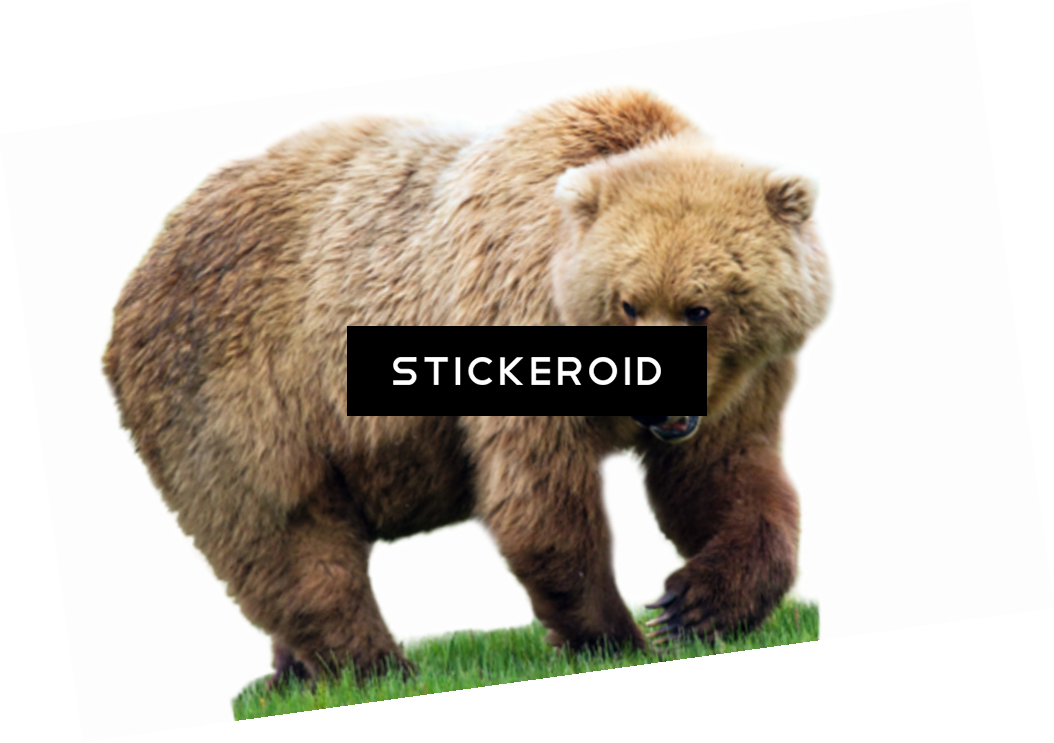 Hershey Bears Logo Clipart (1054x743), Png Download