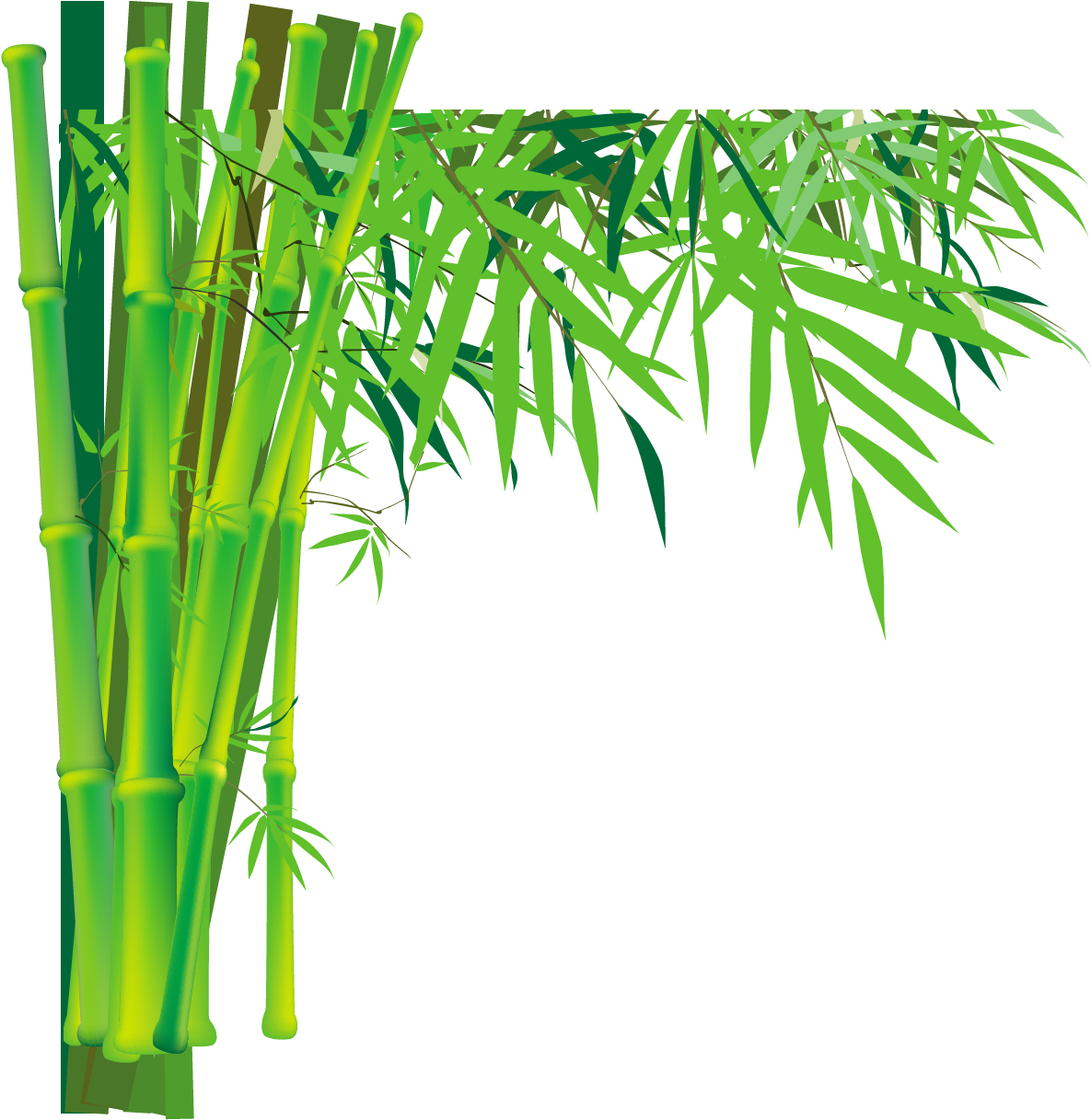 Bamboo Png - Background Texture Paint Bamboo Clipart (1184x1447), Png Download