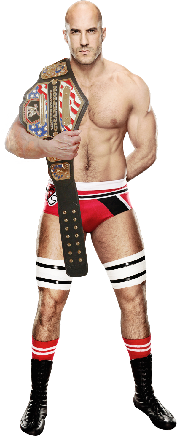 Cesaro Png Image Background - Wwe World Heavyweight Champion Undertaker Clipart (597x1470), Png Download