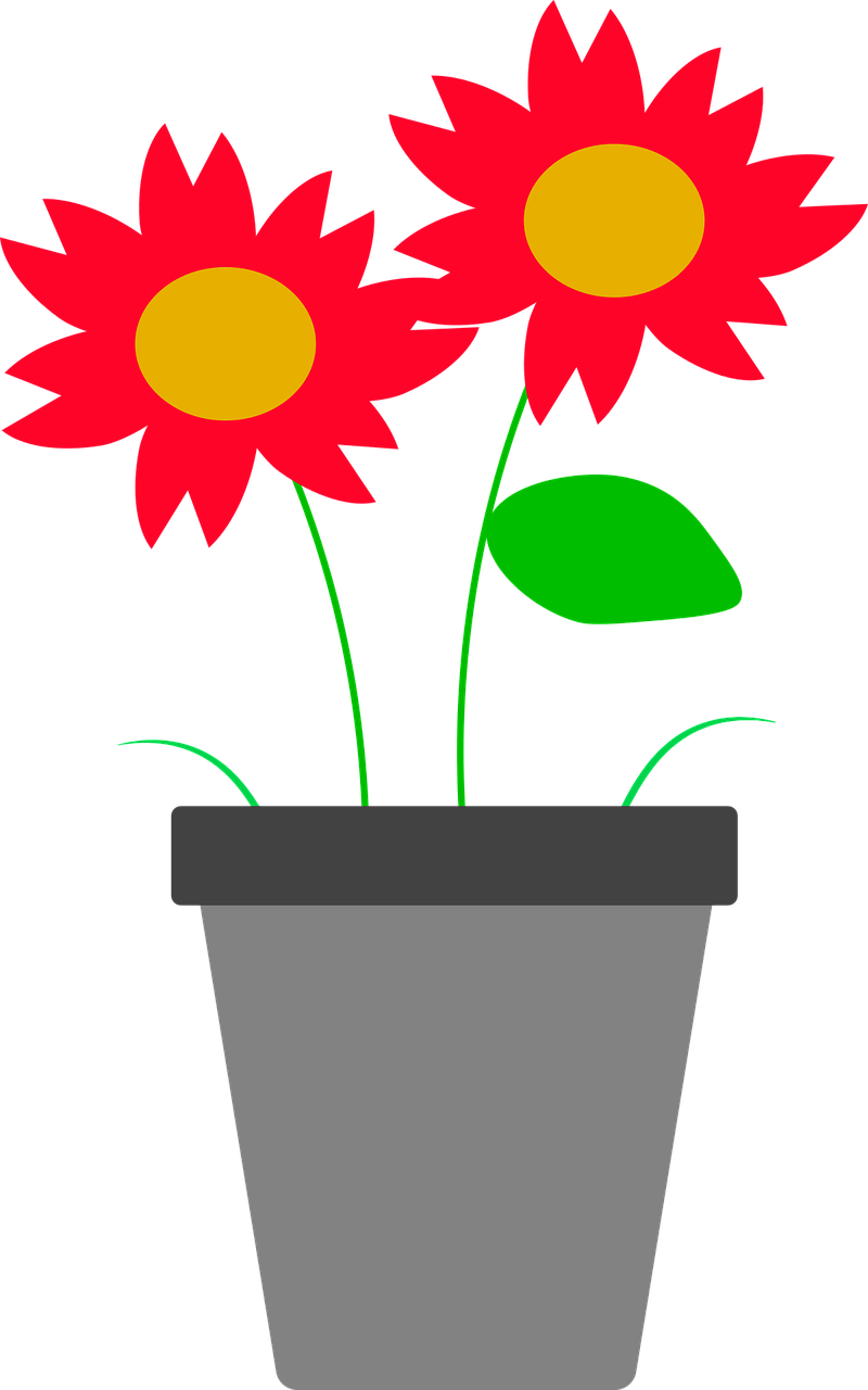 Flower Vase Floral - Vas Bunga Vektor Png Clipart (800x1280), Png Download