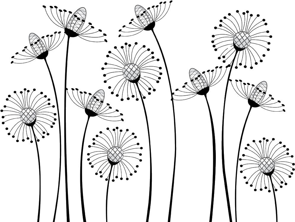 Drawing Dandelion Cartoon - White Shower Curtain With Black Flowers Clipart (1024x1024), Png Download