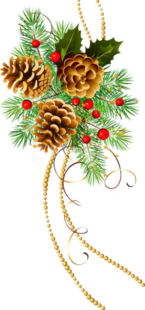 Free Png Three Christmas Cones With Pine Branch Png - Christmas Pine Cone Clipart Transparent Png (480x1025), Png Download