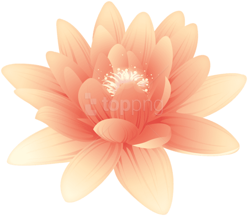 Free Png Download Flower Orange Png Images Background - Sacred Lotus Clipart (850x741), Png Download