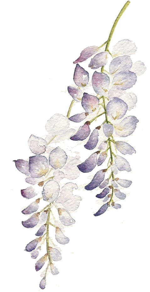 Graphic Flowers Watercolour Painting Purple Flower - Flowers Watercolor Purple Png Clipart (540x976), Png Download