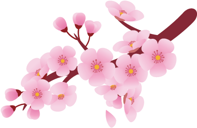 Flower Clip Art - Cherry Blossoms Clip Art - Png Download (600x600), Png Download