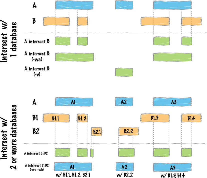 Bedtools - Swiss - Bedtool Intersect Sum Clipart (847x776), Png Download
