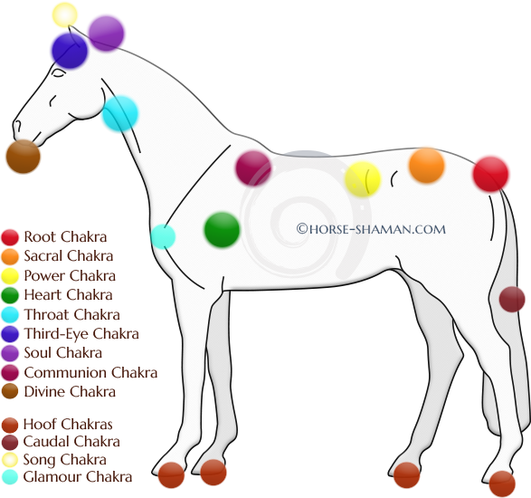 Part - Chakras On A Horse Clipart (587x550), Png Download