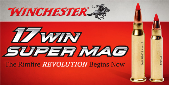 17 Super Mag - Bullet Clipart (600x600), Png Download