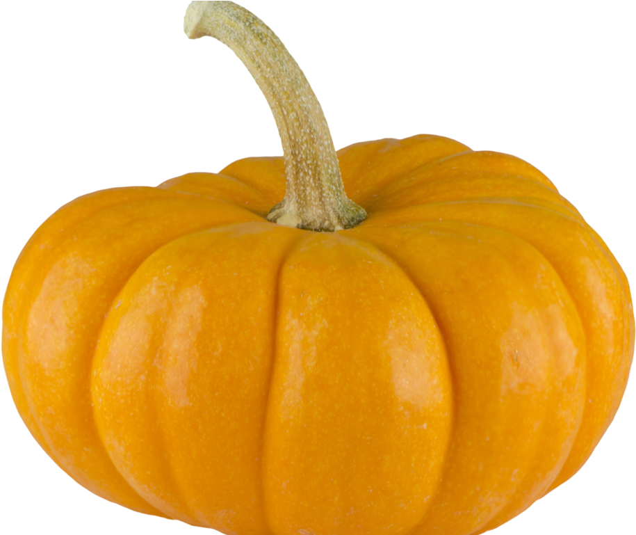 Pumpkin Png Image - Pumpkin Clipart (915x769), Png Download
