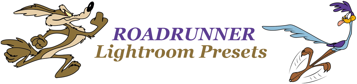 Wile E Coyote Clipart (1223x300), Png Download