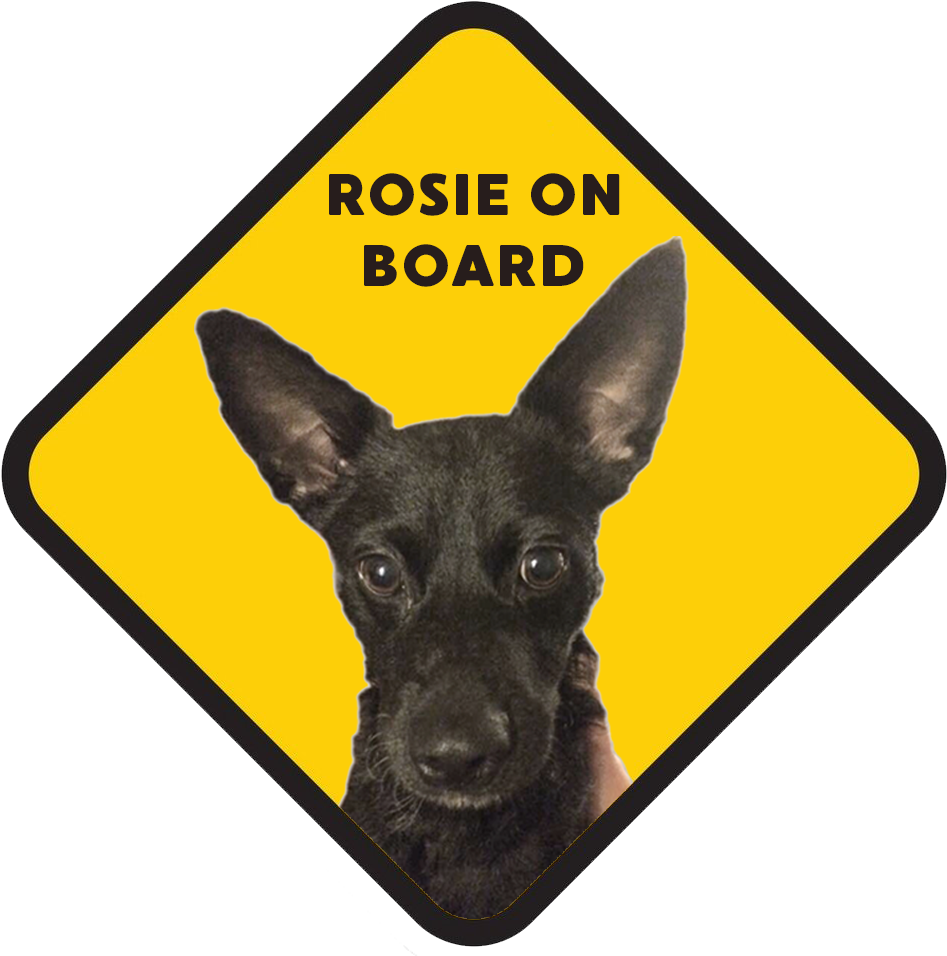 Dog Travels And Travails - Companion Dog Clipart (1024x1066), Png Download