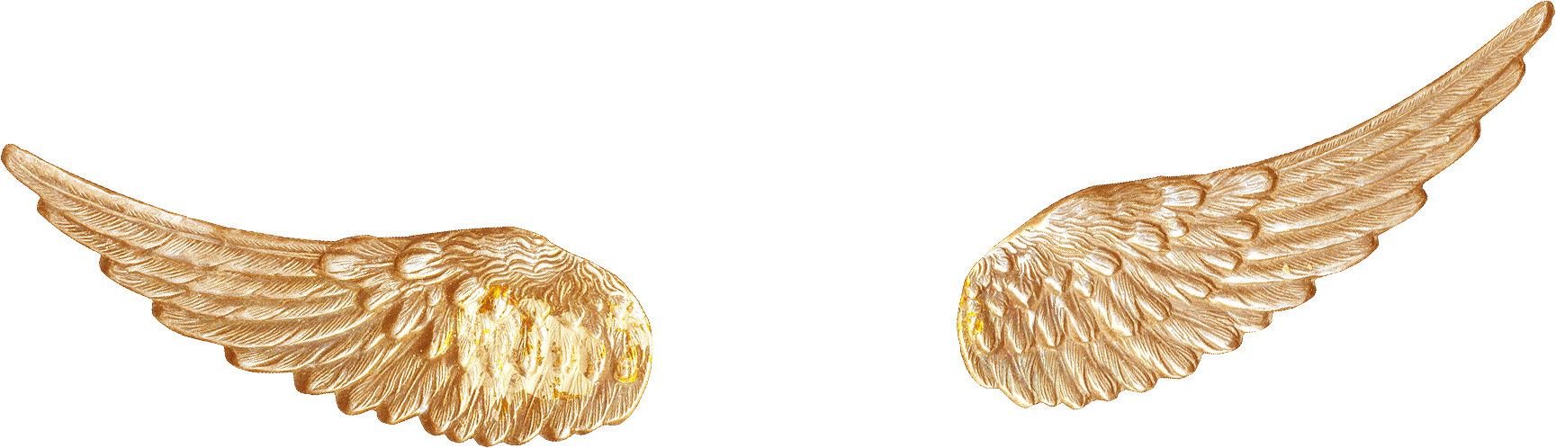 Gold, Wing, Encapsulated Postscript, Body Jewelry Png - Gold Angel Wing Clipart Transparent Png (1729x498), Png Download
