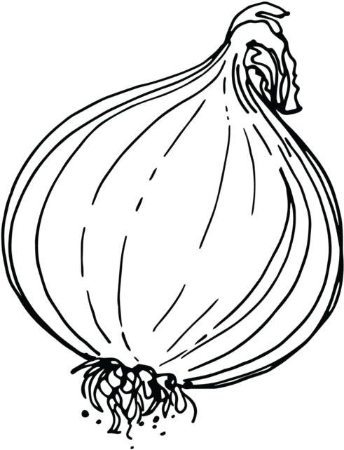 Shallot Clipart (1000x1200), Png Download