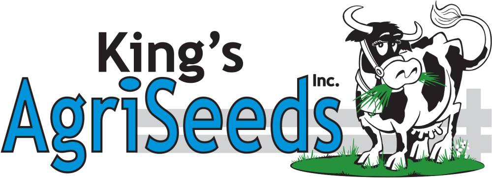 Kings Agriseeds Logo Clipart (1024x364), Png Download