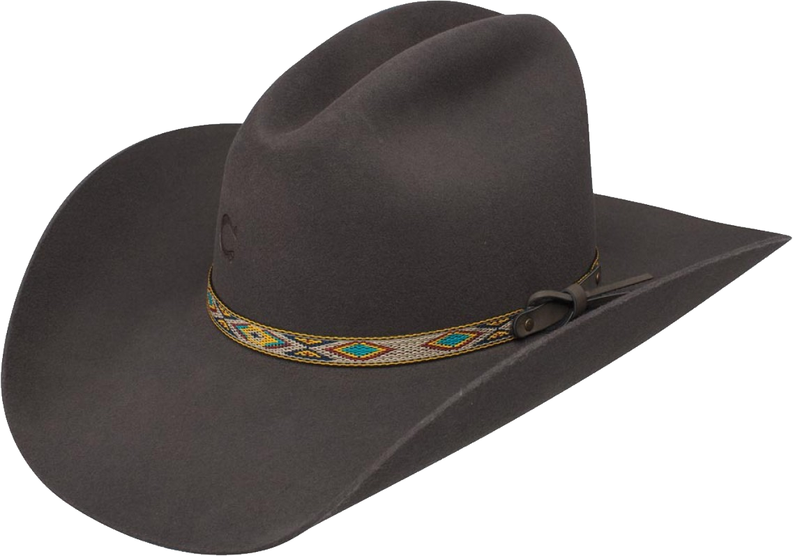Png Images And Cliparts For Web Design - 10 Gallon Hat Png Transparent Png (1137x798), Png Download