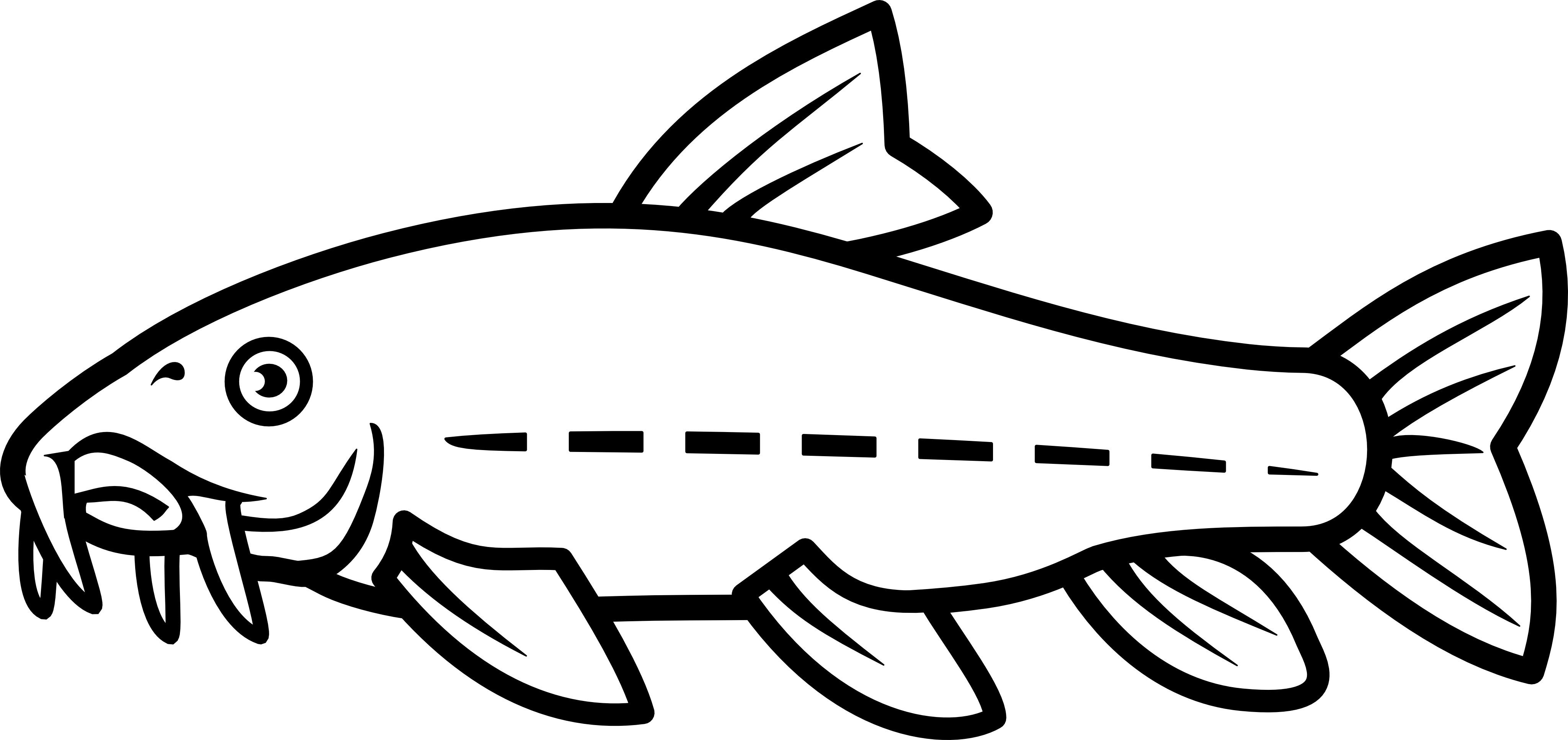 Catfish - Catfish Line Drawing Clipart (4096x1932), Png Download