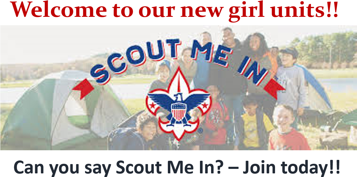 The Boy Scouts Of America Made History Today By Unveiling - Boy Scouts Of America Clipart (1203x672), Png Download