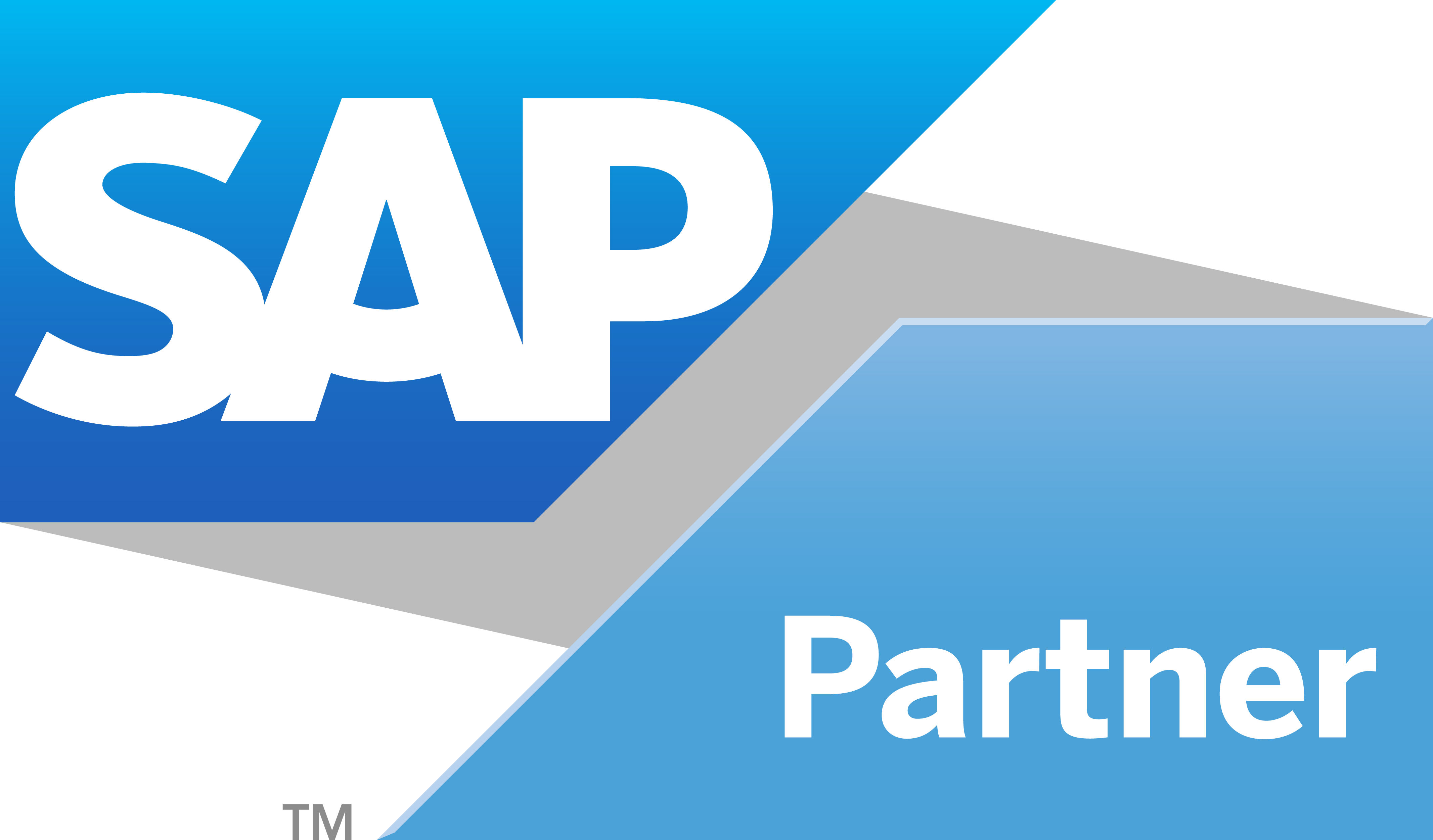 Logo Blogs - Sap Partner Logo Png Clipart (4267x2502), Png Download