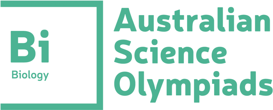 Aso03199 Logos Small Bi Output 140814 - Snetterton Motor Racing Circuit Clipart (1024x488), Png Download