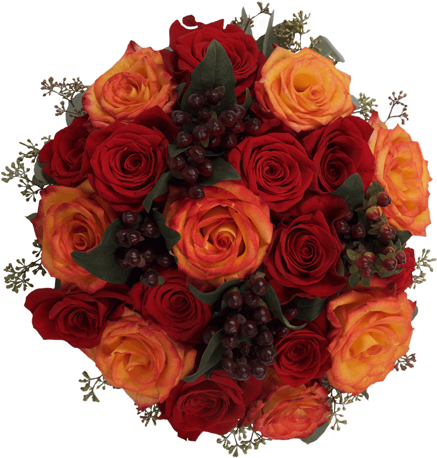 Pumpkin Pie - Garden Roses Clipart (1000x1000), Png Download