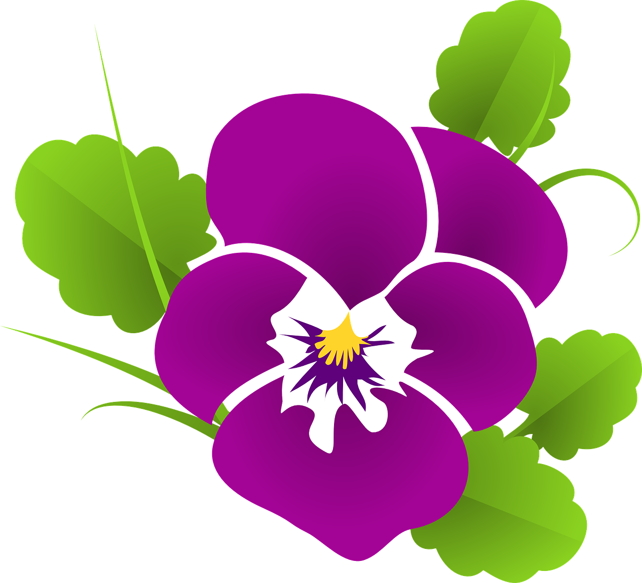 View large size Pansy Violet Viola Violaceae Png Image - Pansies Clipart Tr...