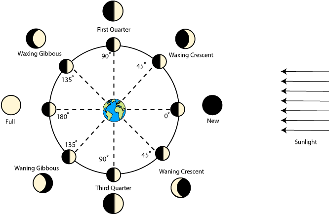 Causes Of Science Project Education Com Diagram - Moon Phases With Degrees Clipart (668x485), Png Download