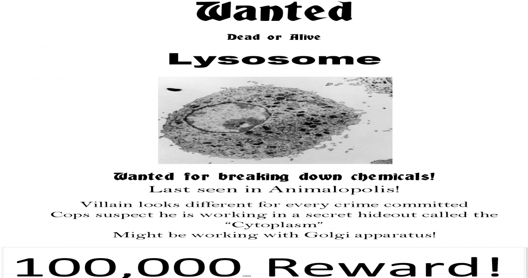 Wanted Poster For Lysosomes Clipart (1200x630), Png Download