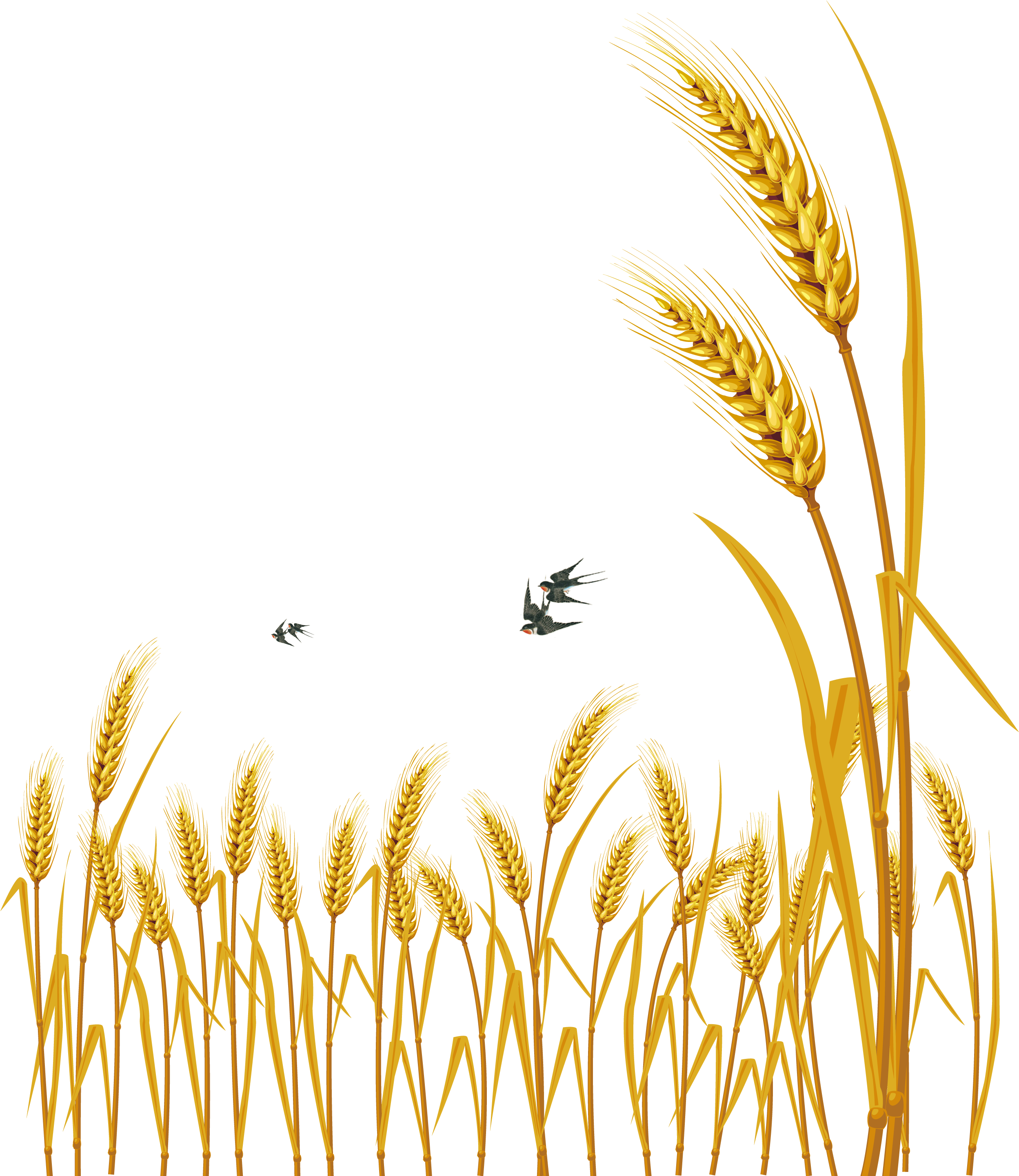 Hand Painted Cartoon - Wheat Vector Clipart (3000x3661), Png Download