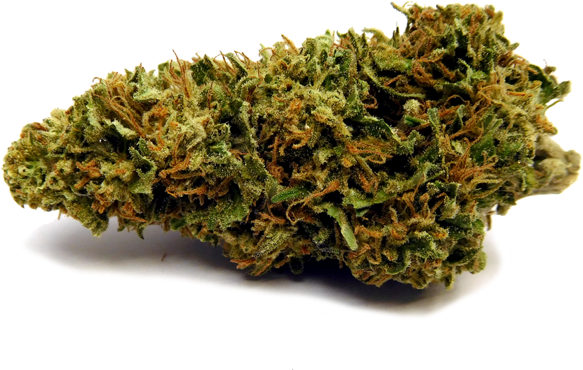 Tahoog Nobg - Moss Clipart (1000x613), Png Download