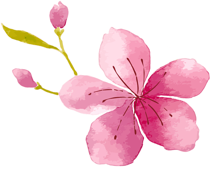 A Memorable One - Rosa Glauca Clipart (764x758), Png Download