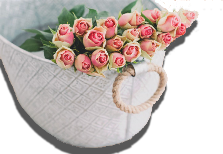 Pink Rose Flower Background Hd Rose , Png Download Clipart (727x502), Png Download