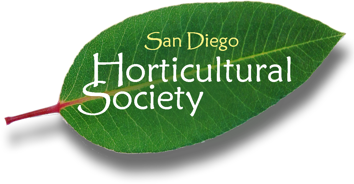 Elm Clipart (1220x719), Png Download