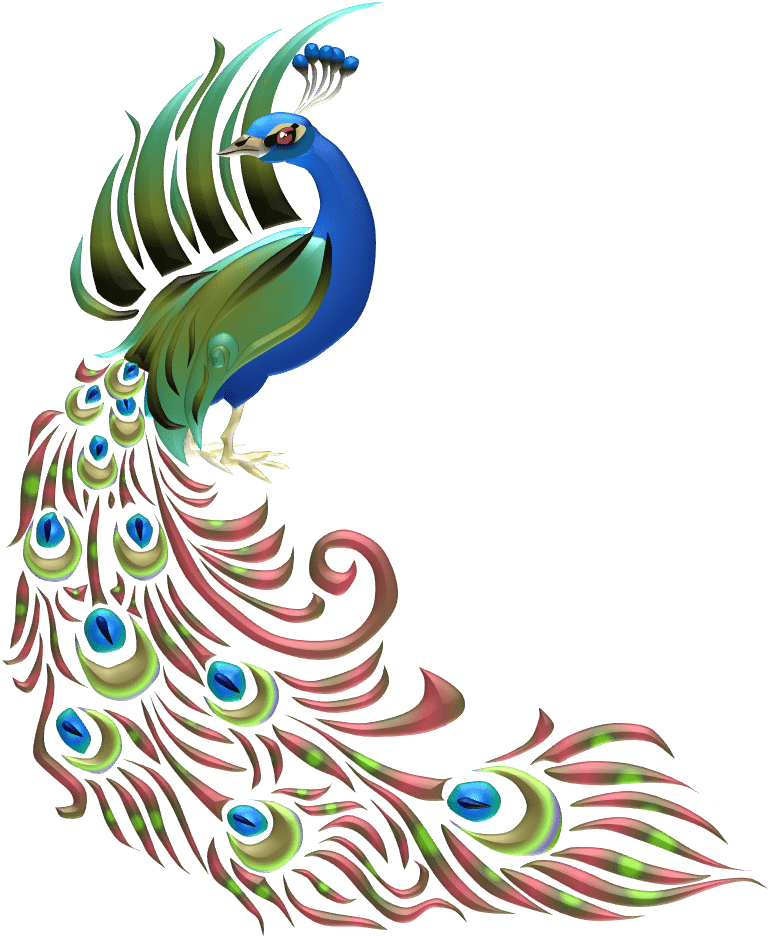 Preloder - Peacock Drawing With Colour Clipart (771x938), Png Download